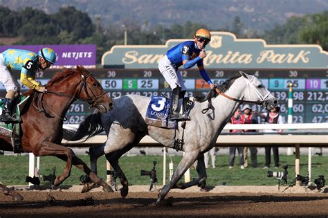 white abbario|white racehorses.